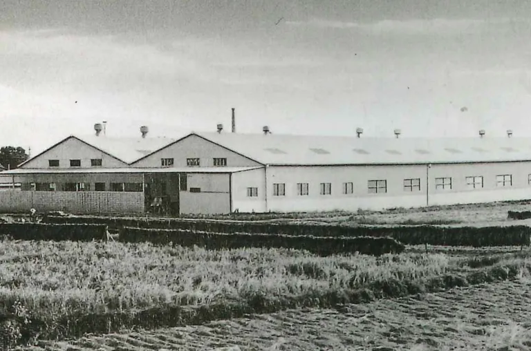 泉大津工場第一期工事完成